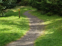 Image on trail